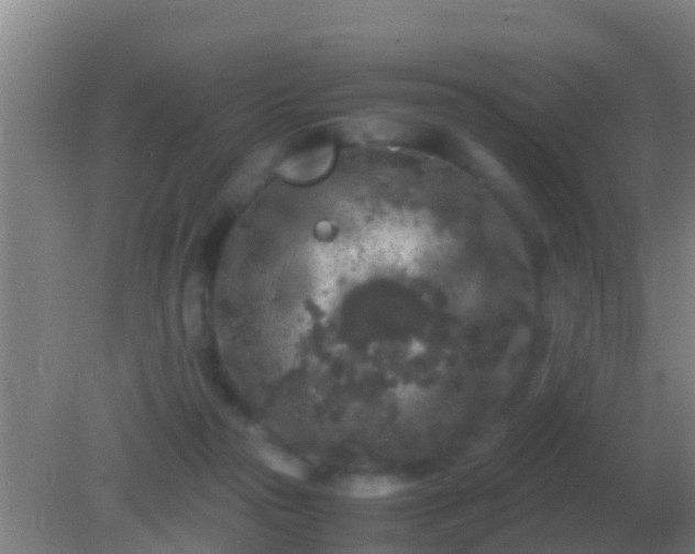 X0000082170169200701270009