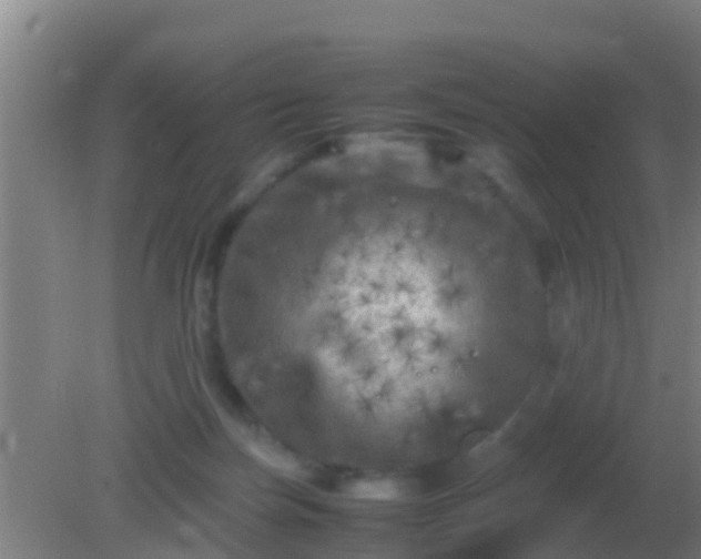 X0000082170171200701270009