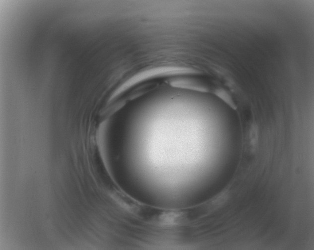 X0000082170172200701270009