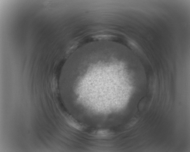 X0000082170173200701270009