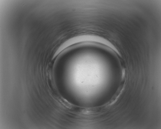 X0000082170174200701270009