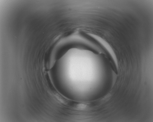 X0000082170176200701270009