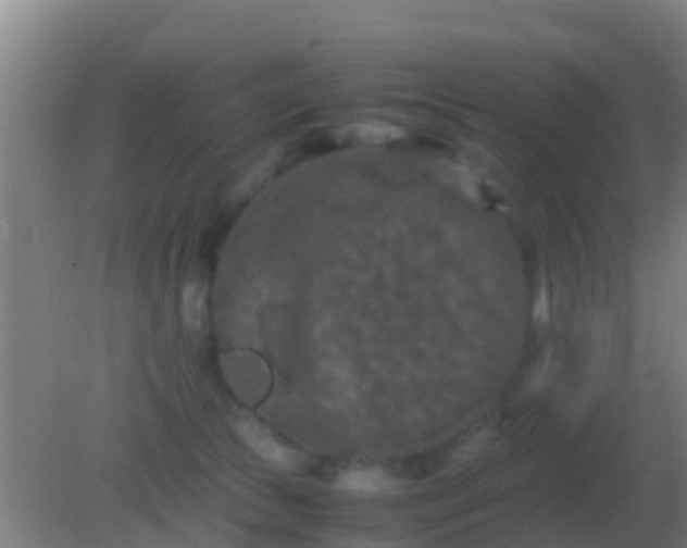 X0000082170177200701270009