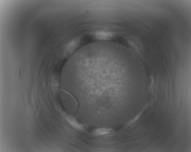 X0000082170179200701270009