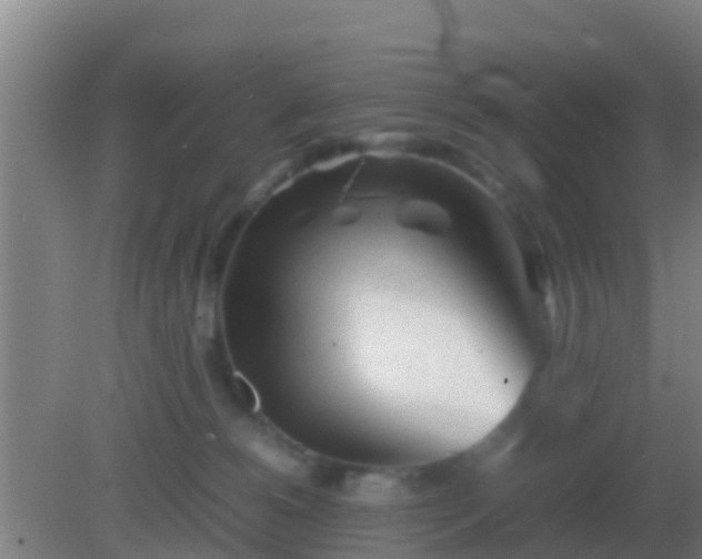 X0000082170180200701270009