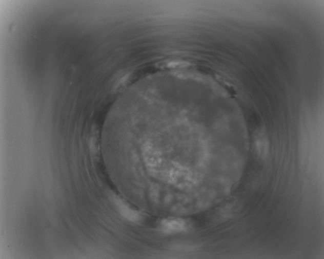 X0000082170181200701270009