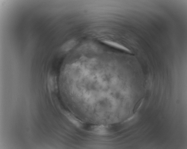 X0000082170182200701270009