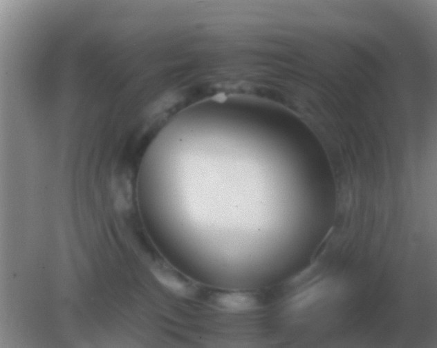 X0000082170183200701270009