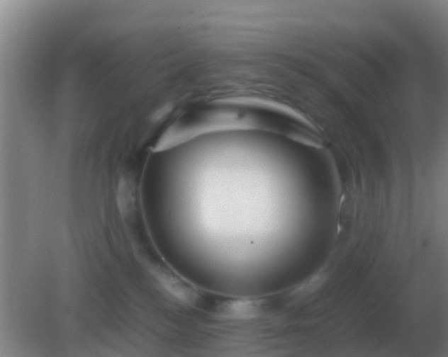 X0000082170184200701270009