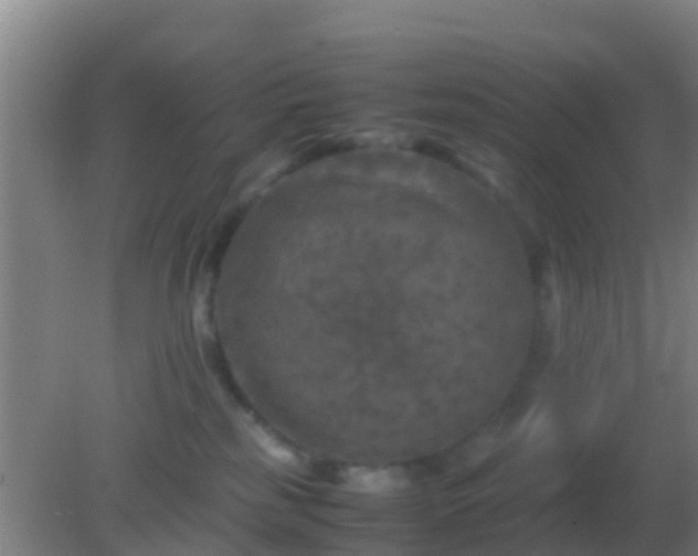 X0000082170185200701270009