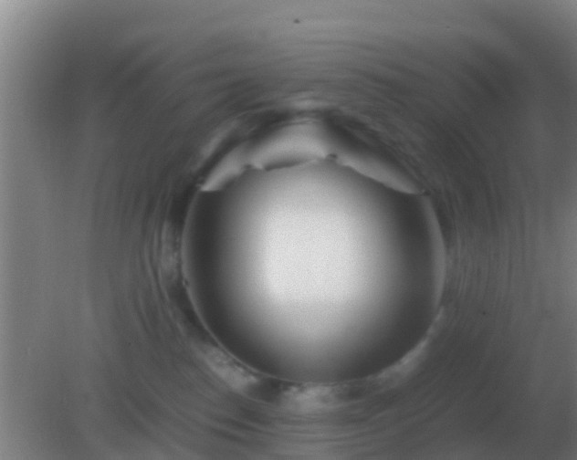 X0000082170186200701270009