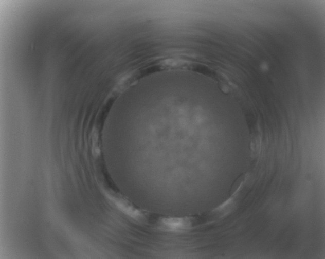 X0000082170187200701270009