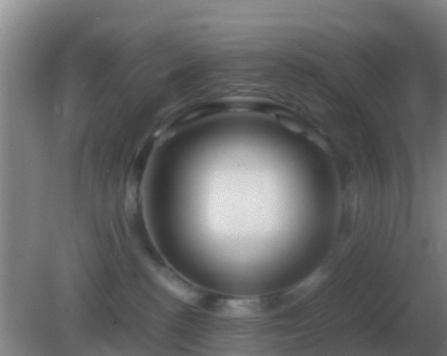 X0000082170188200701270009