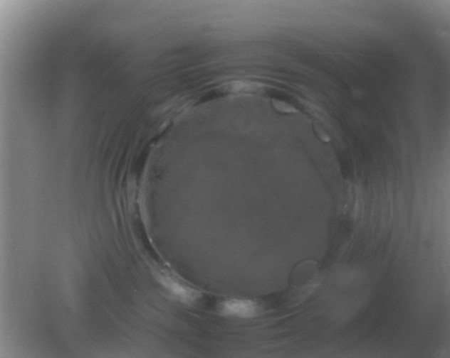 X0000082170189200701270009