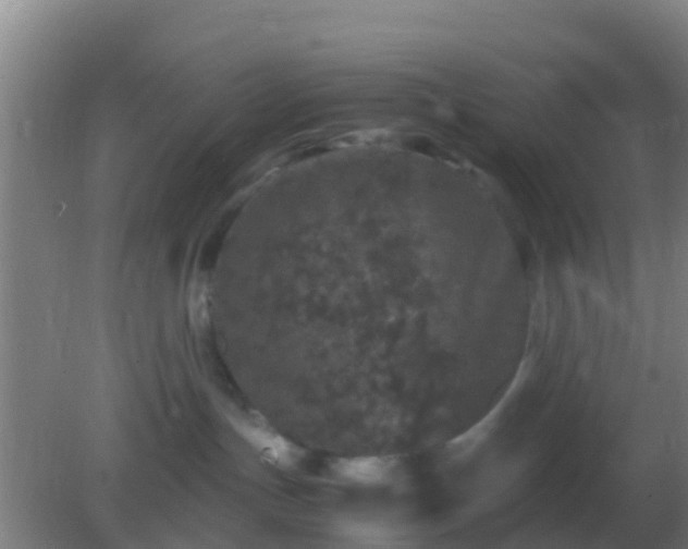 X0000082170191200701270009