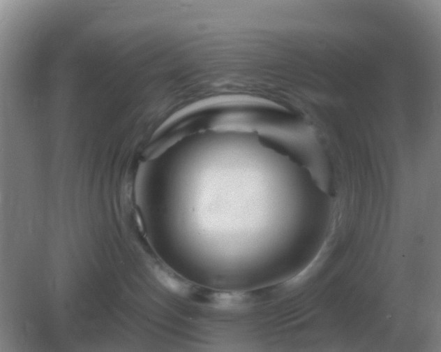 X0000082170192200701270009