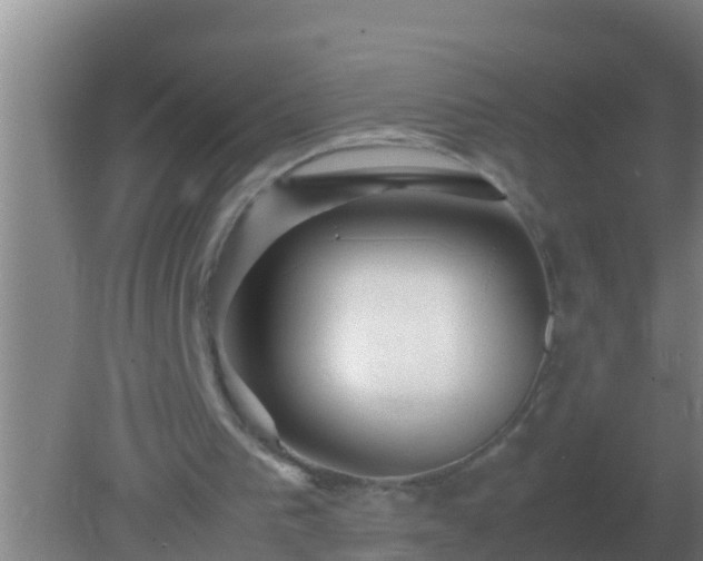 X0000082170193200701270009