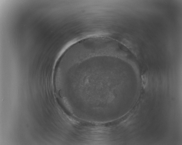 X0000082170196200701270009