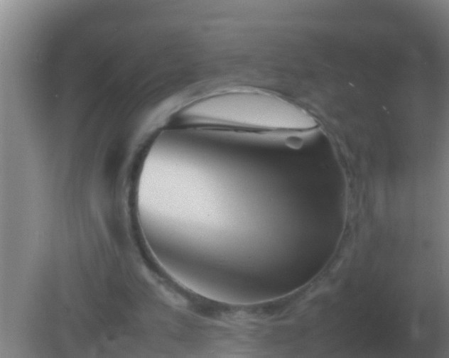 X0000082170197200701270009