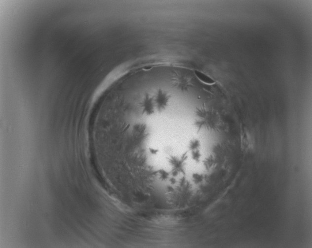 X0000082170198200701270009