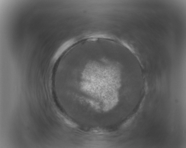 X0000082170199200701270009