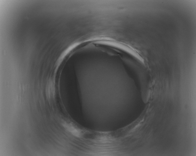 X0000082170200200701270009