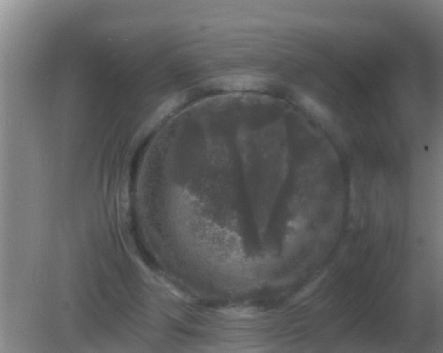 X0000082170202200701270009