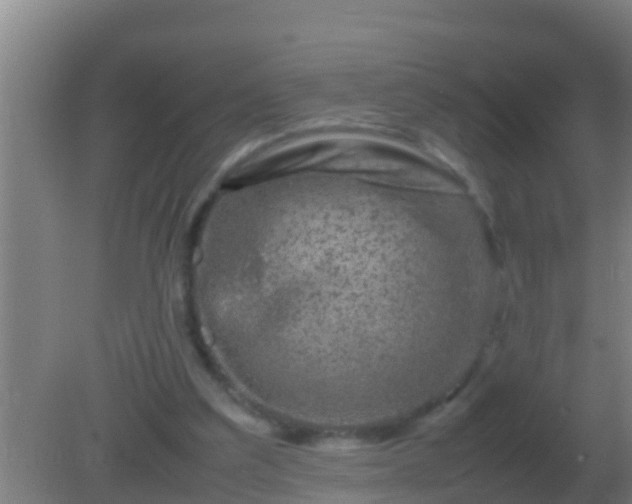 X0000082170203200701270009