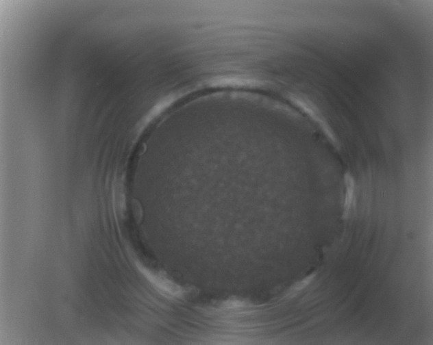 X0000082170204200701270008