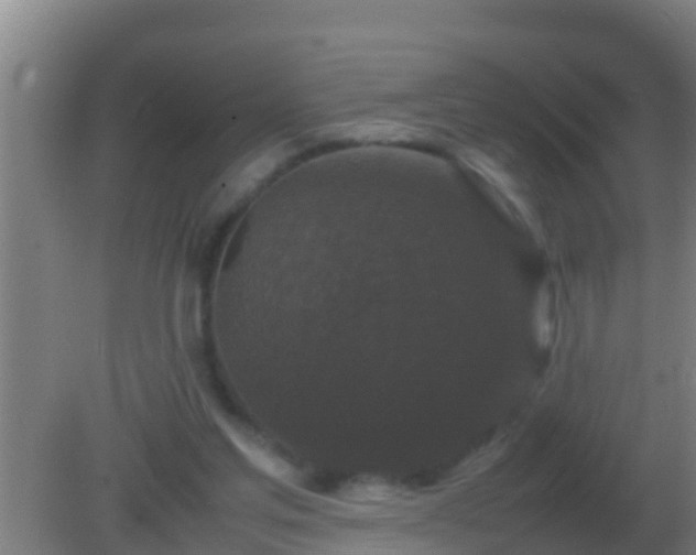 X0000082170205200701270008