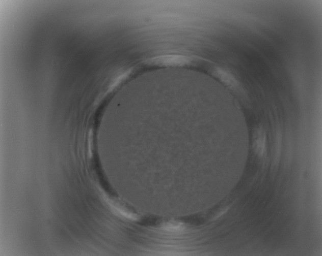 X0000082170206200701270008