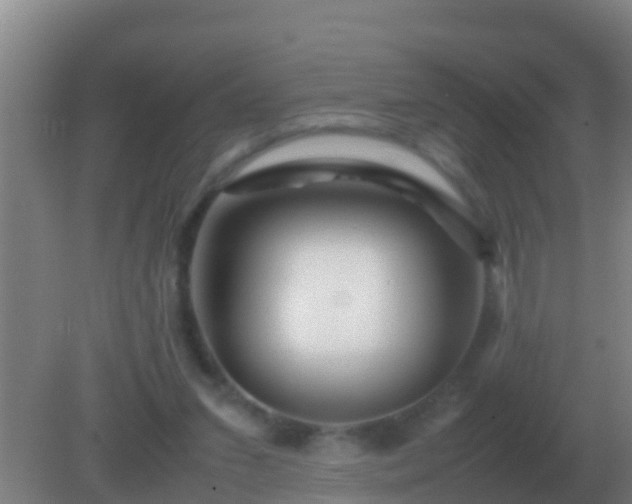 X0000082170207200701270008