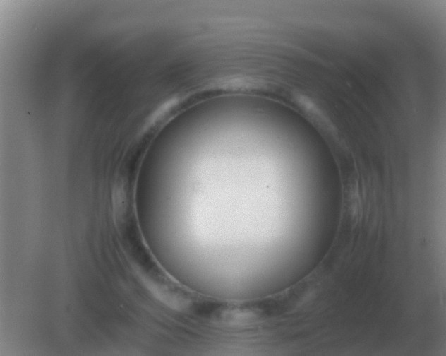 X0000082170208200701270008