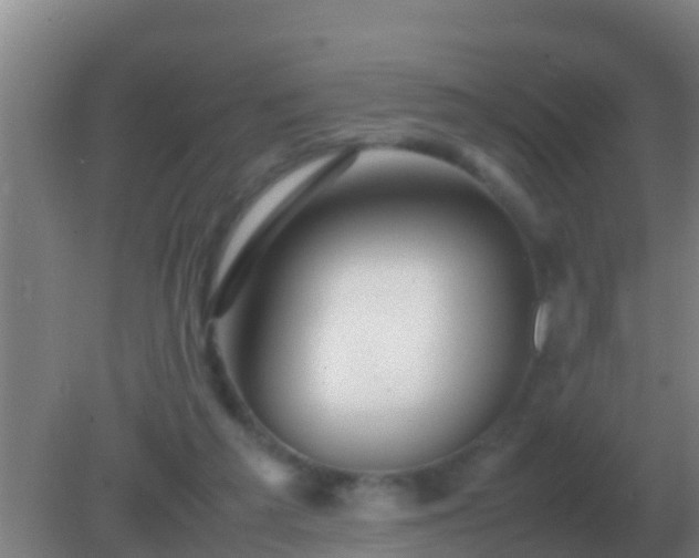 X0000082170209200701270008