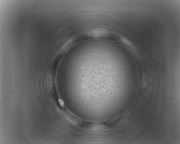 X0000082170210200701270008