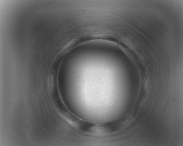 X0000082170211200701270008