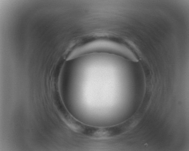 X0000082170213200701270008