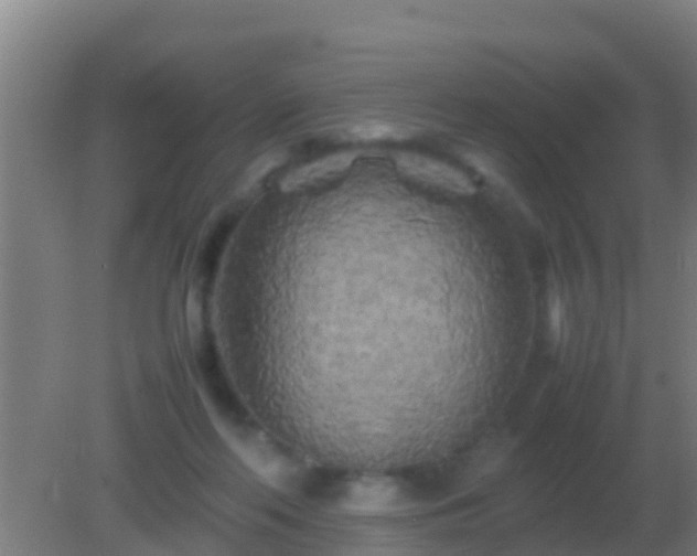 X0000082170214200701270008