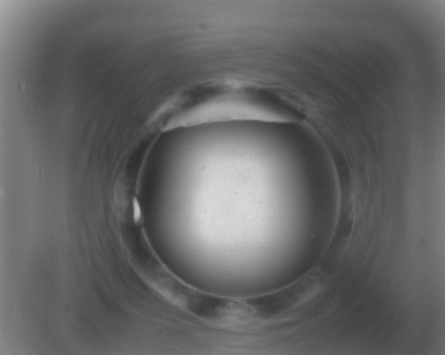 X0000082170215200701270008