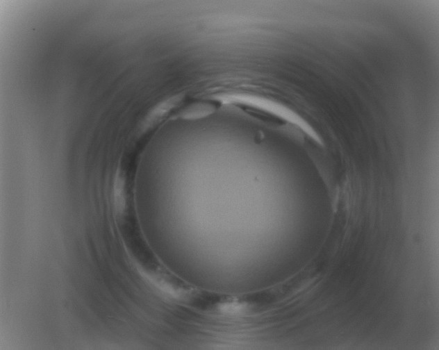 X0000082170216200701270008