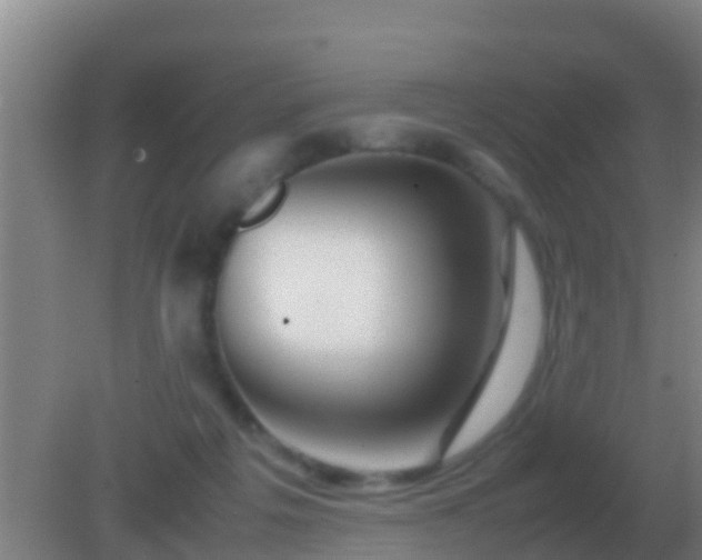 X0000082170217200701270008