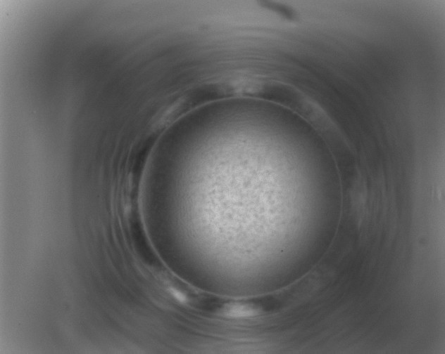 X0000082170218200701270008