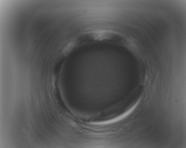 X0000082170219200701270008