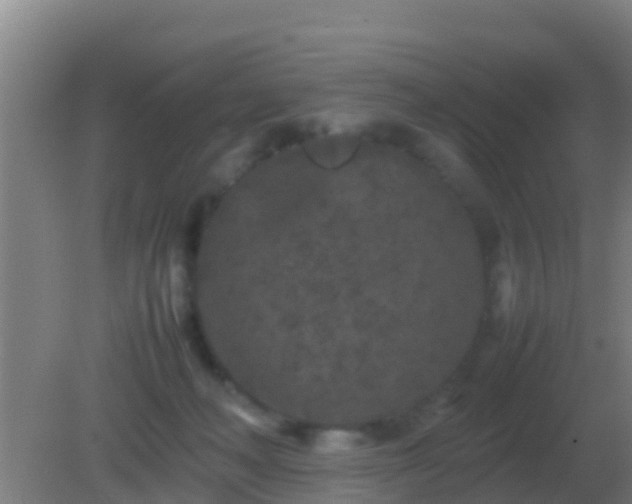 X0000082170222200701270008