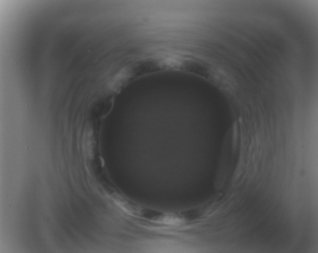 X0000082170223200701270008