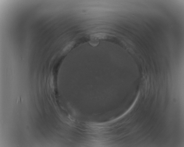 X0000082170224200701270008