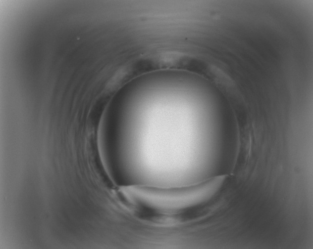 X0000082170225200701270008