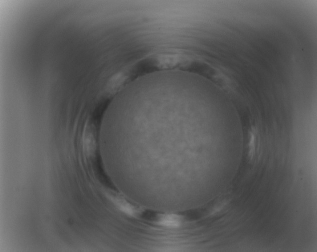 X0000082170226200701270008