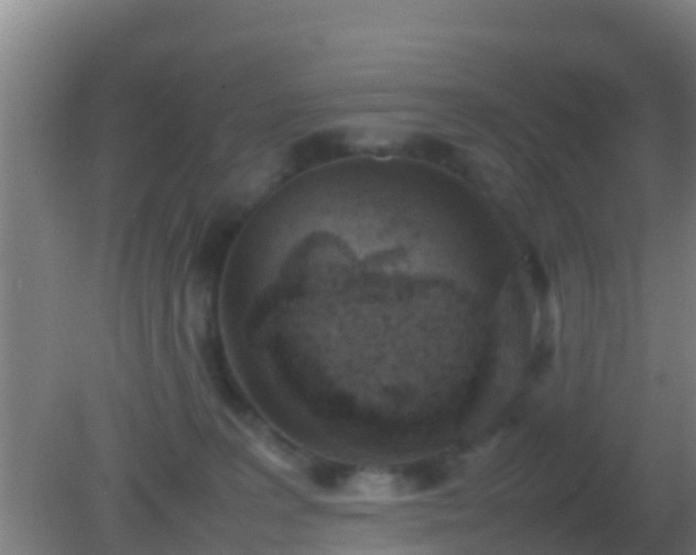 X0000082170227200701270008