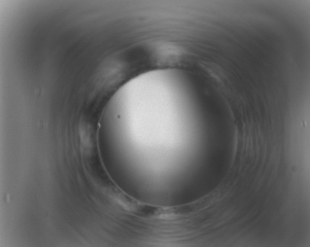 X0000082170228200701270008